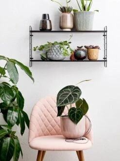 Bloomingville North Wandrek - 12408888 -Bloomingville Deco Verkoop bloomingville north wandrek 12408888 3