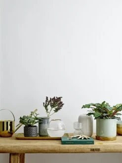 Bloomingville Paula Bord Bruin - Set Van 6 Stuks -Bloomingville Deco Verkoop bloomingville paula bord bruin set van 6 stuks 7